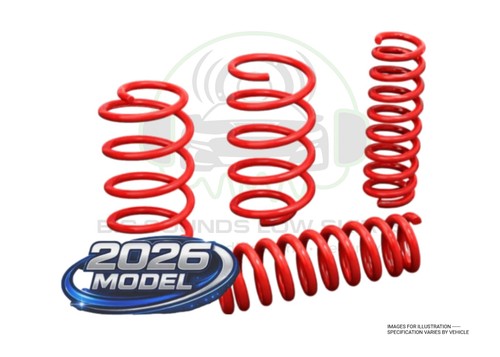 Lowering springs for skoda - for,